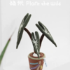 logaloga/B6008/大仙女海芋盆栽摆件 商品缩略图0
