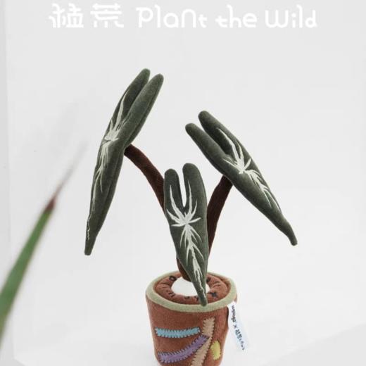 logaloga/B6008/大仙女海芋盆栽摆件 商品图0