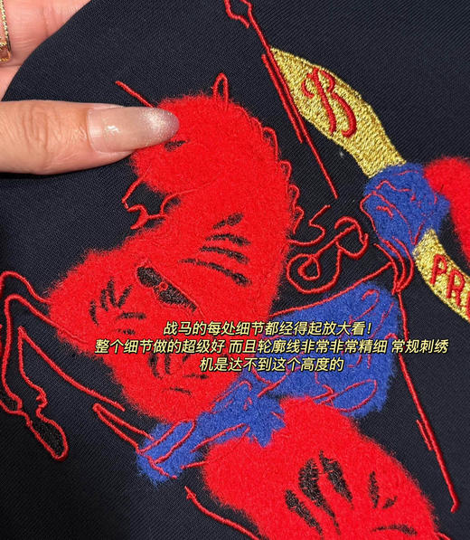 爆款🔥𝐛𝐛𝐫新禧贺岁短袖T恤𝟐𝟔马年生肖限定122007 商品图9