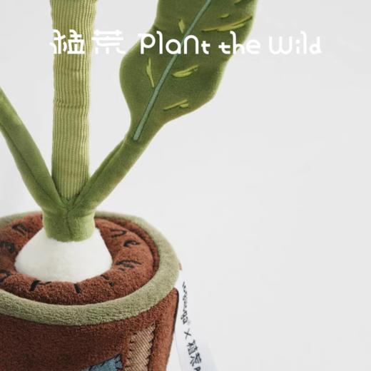 logaloga/B6014/黑骑士马蹄莲毛绒盆栽摆件 商品图4