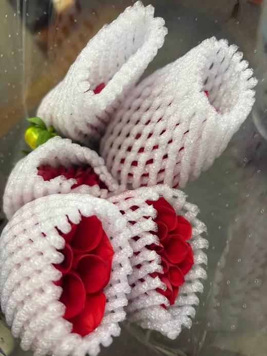 【新花派】大丽花~大红色  5枝/扎 商品图3