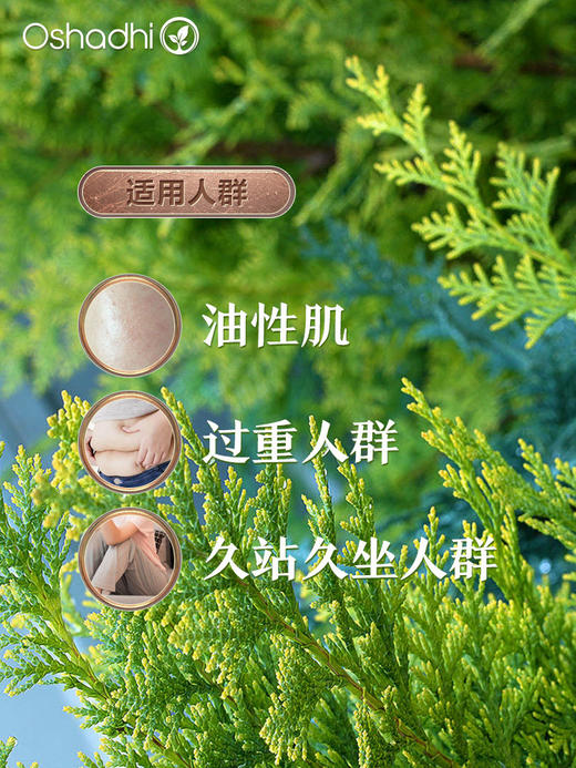 德国O家丝柏精油地中海柏木单方精油 香薰精油 商品图1