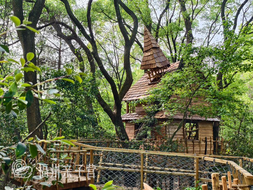 新余树蛙部落【3天2晚寒假亲子自然营】每期数量有限，购买后仍需自行跟树蛙预约！先约先得！具体营期时间见详情页 商品图1