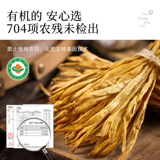 有机黄花菜干货干黄花菜新货凉拌炒菜煲汤火锅家用商用食材 商品图1
