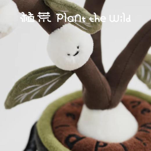 logaloga/B6013/毛核木盆栽摆件 商品图3