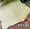 【QT】整张荷叶糯米鸡叫花鸡荷叶鸡荷叶饭专用大片干荷叶切片 商品缩略图2