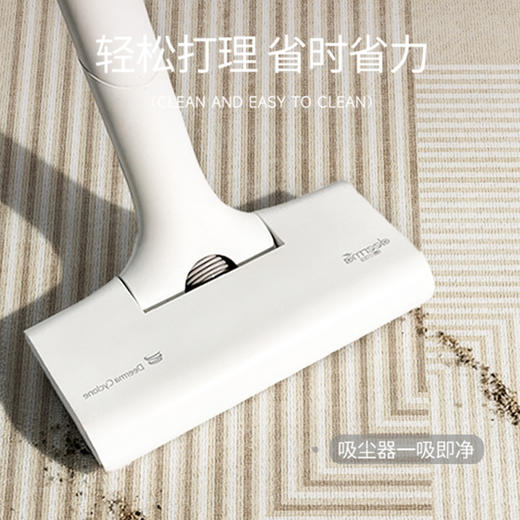 【品牌直发】新款亲肤舒适荷兰绒客厅地毯 多色可选 商品图4