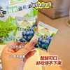 莓日悠果长白山有机蓝莓干250g 商品缩略图2