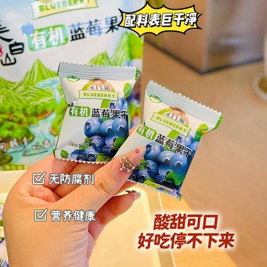 莓日悠果长白山有机蓝莓干250g 商品图2
