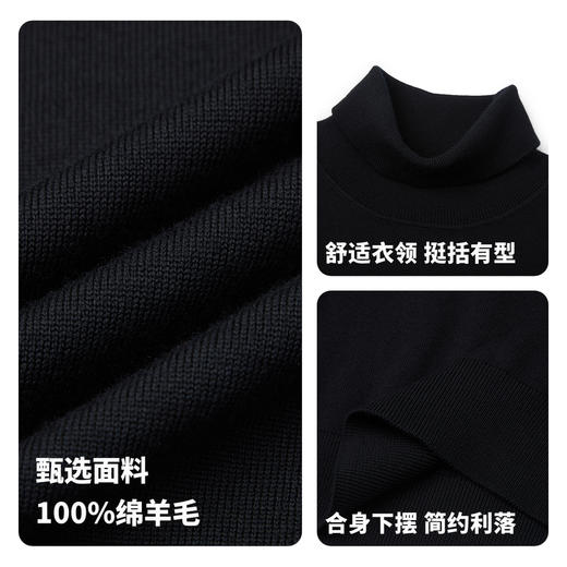 【门店同款&100%绵羊毛】圣得西25年冬季高领毛衫青年男款针织衫 商品图4
