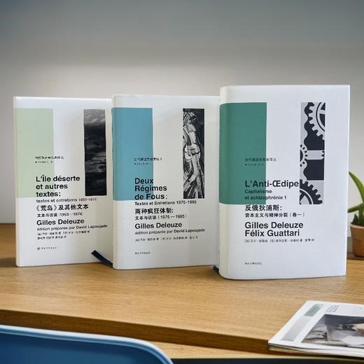 反俄狄浦斯+<荒岛>及其他文本+两种疯狂体制 德勒兹作品 商品图4