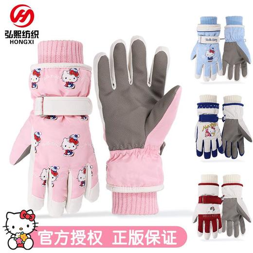 冬季加绒加厚滑雪手套女户外防风骑行厚绒毛保暖手套男触屏手套女 商品图0