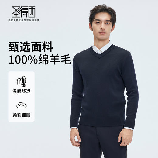 【门店同款&100%绵羊毛】圣得西2025年冬季毛衫温暖舒适简约毛衣 商品图0