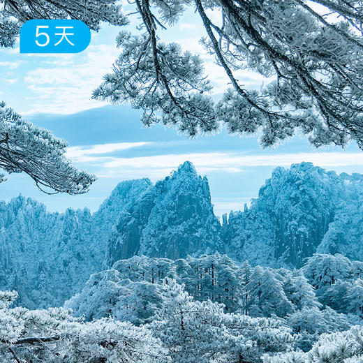 黄山迎新过大年｜25公里轻徒步 徽杭古道+黄山 非遗文化深度体验 5日 商品图5