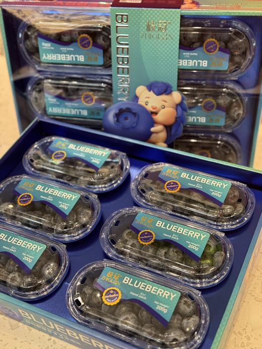 【觅趣小铺·云南枝冠蓝莓】新鲜脆甜礼盒装 商品图5