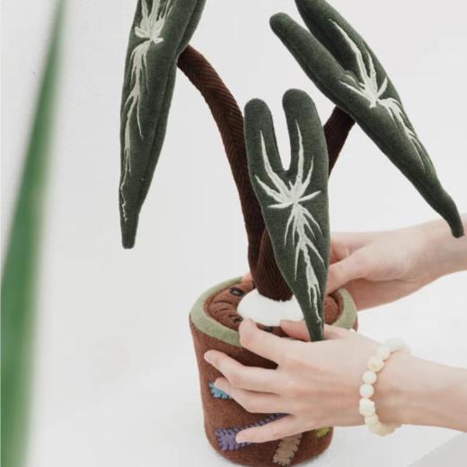 logaloga/B6008/大仙女海芋盆栽摆件 商品图1