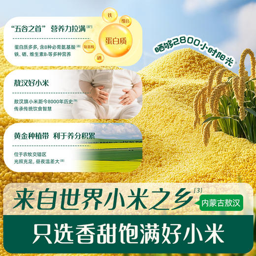婴幼儿无麸质小米软米饼【57元任选3件+4件礼品】 商品图6
