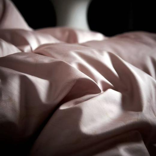 【春上新】【送2000线下无门槛券】10楼 恐龙 臻品白鹅绒冬被(粉） 吊牌价9180-9980元 活动价4399元（大小同价） 商品图1