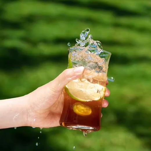 益生搭档益生元西梅纤维果饮 大餐无负担 商品图4