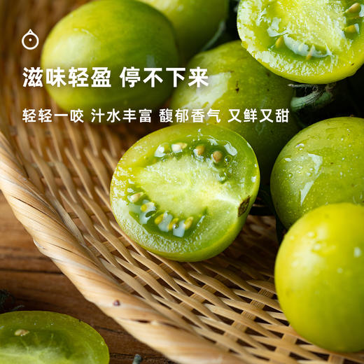  企鹅市集|四川大凉山 青玉小番茄3斤装 饱满水灵 爽甜味浓 商品图2