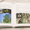 三亚热带优异果树种质资源科普图册 &3370 商品缩略图3