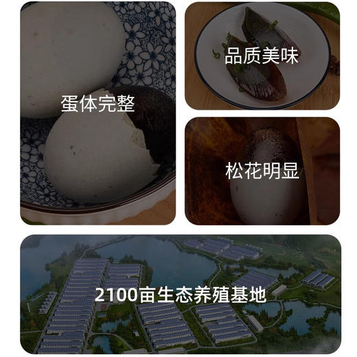 旭日1996 沙心松花鸭皮蛋盒装780g/盒 商品图3
