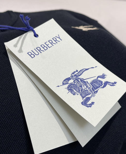 Bur原单就一批战马徽标圆领卫衣122402 商品图4