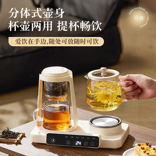 艾贝丽双杯养生壶ABL-YSH624 商品图2