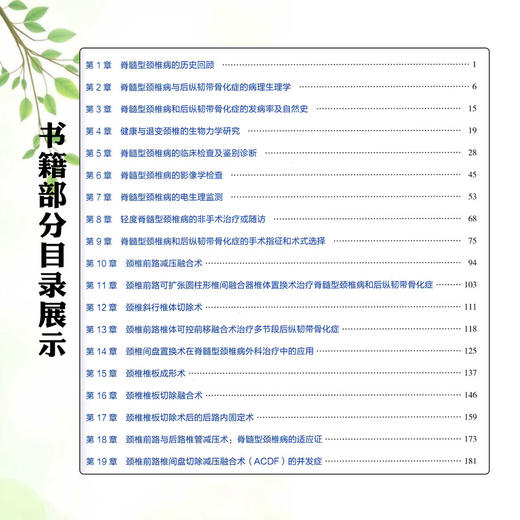 脊髓型颈椎病和后纵韧带骨化 曹凯 陈雄生 张雪松 主译 脊髓型颈椎病与后纵韧带骨化症的病理生理学 骨科学 辽宁科学技术出版社 商品图3