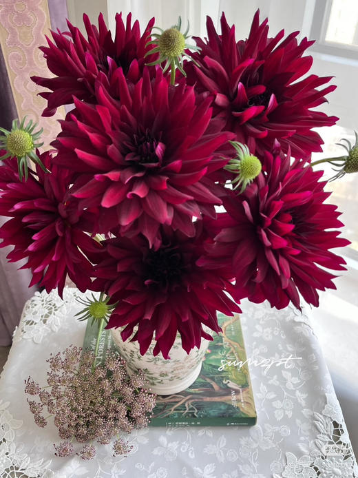 【新花派】大丽花-浪漫夜色（复古红色）5枝/扎 商品图1