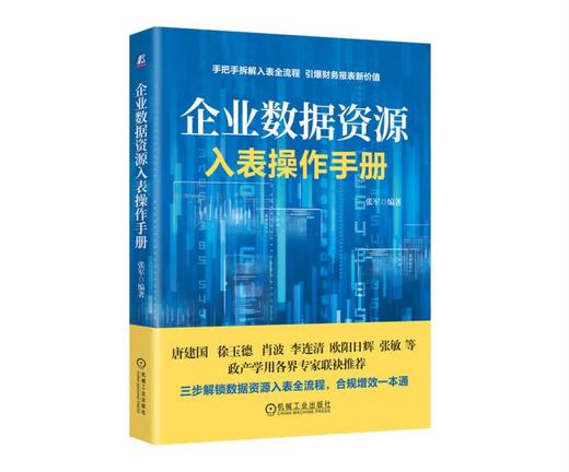 企业数据资源入表操作手册 商品图0