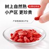 正宗宁夏大颗粒红枸杞250g 树上自然熟 颗颗轻盈饱满 商品缩略图2