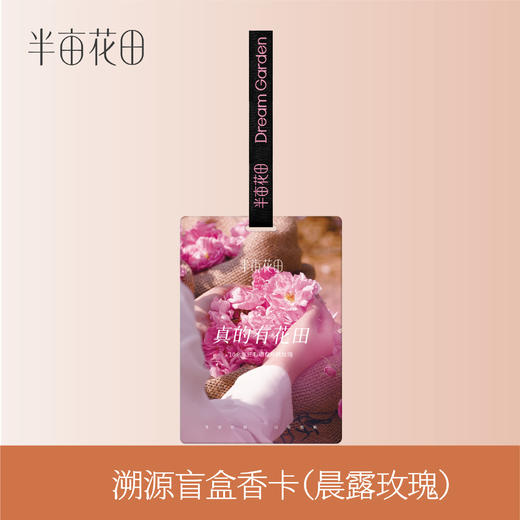 【周边付邮兑】花田溯源盲盒香卡 商品图0