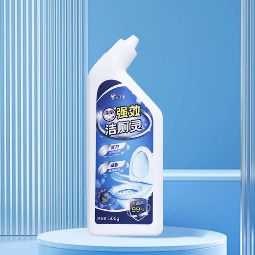 【节后发货】王子登 洁厕灵 500g/瓶 商品图1