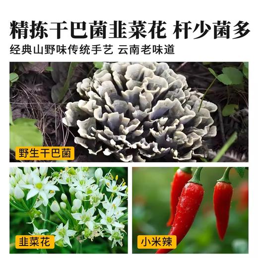 干巴菌韭菜花下饭酱450g 干巴菌含量≥38% 经典山野味 云南老味道 商品图3