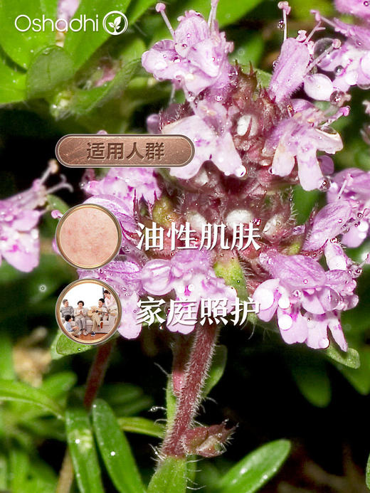 德国O家有机沉香醇百里香单方精油 稀释做面部精华油 按摩油 商品图1