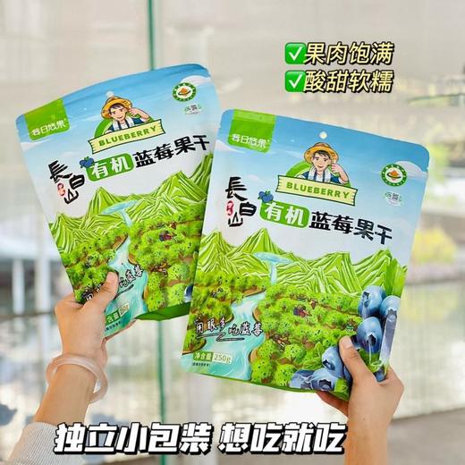 莓日悠果长白山有机蓝莓干250g 商品图1