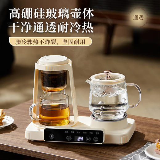 艾贝丽双杯养生壶ABL-YSH624 商品图3