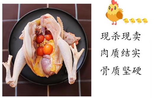 山农-现杀老母鸡农家散养土鸡-（新鲜走地鸡草鸡柴鸡净重2斤半左右/只）【BH】【SN】 商品图0