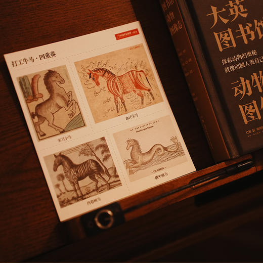 大英图书馆动物图像志：约80份珍贵档案大公开，4大主题，近100个神奇物种，堪称世界版《山海经》 自然 博物 动物史 商品图4