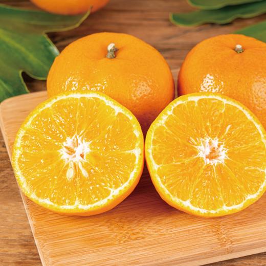 云南哀牢山沃柑礼盒装 【KM】大果（果径80以上果）（净重8.5市斤） 商品图3