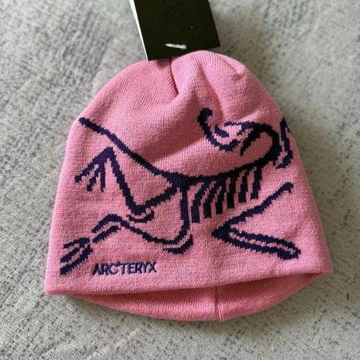 D122457双面提花刺绣款无边帽防寒线绒帽针织帽 商品图9