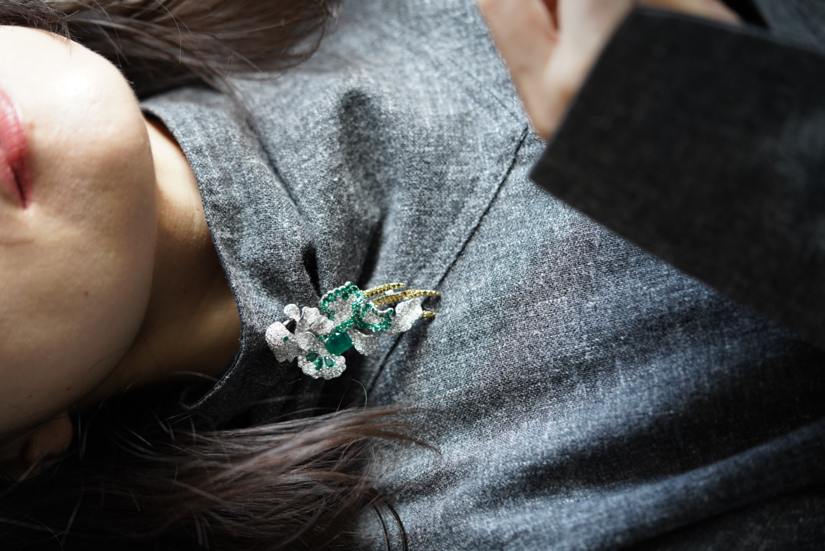 高定胸花绿宝石鹦鹉