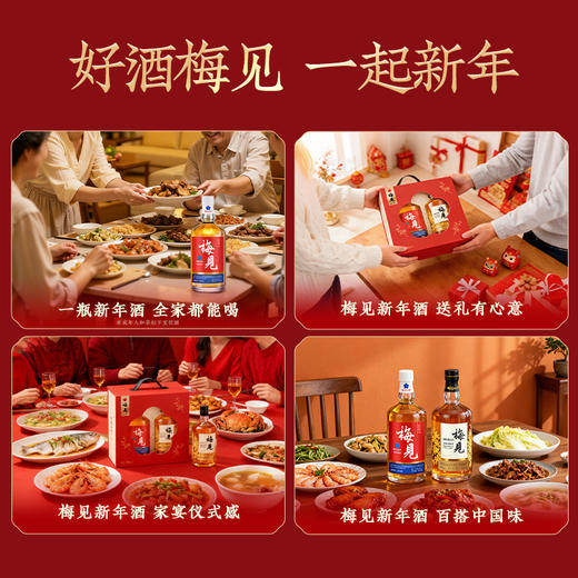 梅见青梅酒2026年新年节日礼盒750ml*2梅子酒微醺果酒低度酒送礼 商品图4