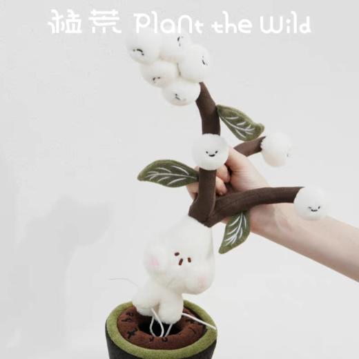 logaloga/B6013/毛核木盆栽摆件 商品图4