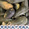 【SF】新鲜老北瓜  含水量高 热量低 饱腹感强 富含膳食纤维 商品缩略图1