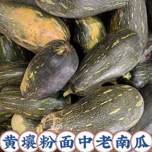 【SF】新鲜老北瓜  含水量高 热量低 饱腹感强 富含膳食纤维 商品图1