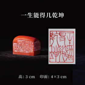 郭晶丨一生能得几乾坤 3x4x3CM 手工篆刻印章作品