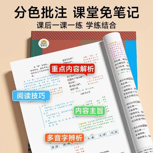 2026春教材伴学笔记下册七下八下九下同步课程 商品图2