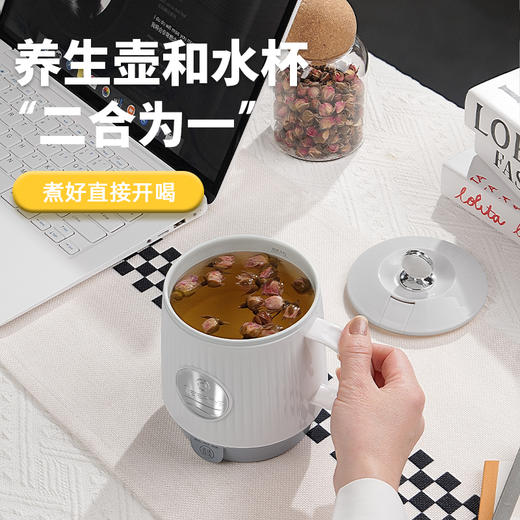 艾贝丽养生杯ABL-YS51 商品图1